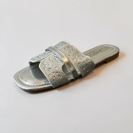 Hsk4529 silver