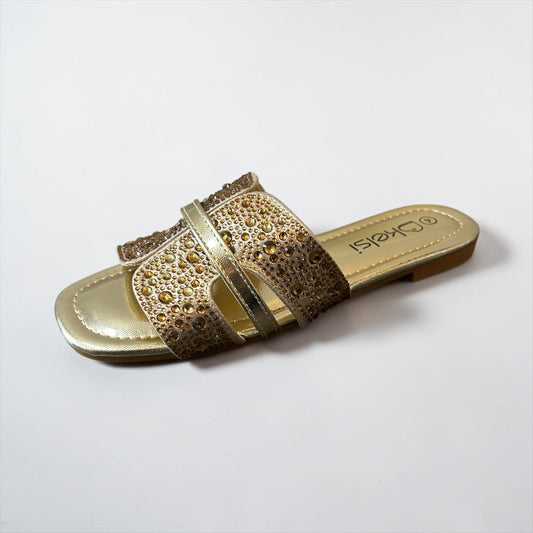 Hsk4529 gold