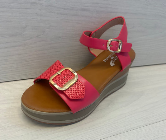 Fuchsia platform wedge