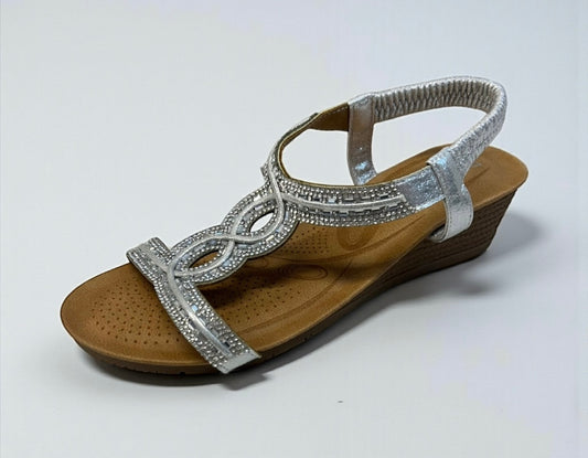Js698-31 silver