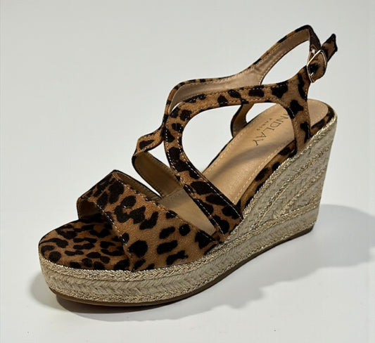 X5381 leopard
